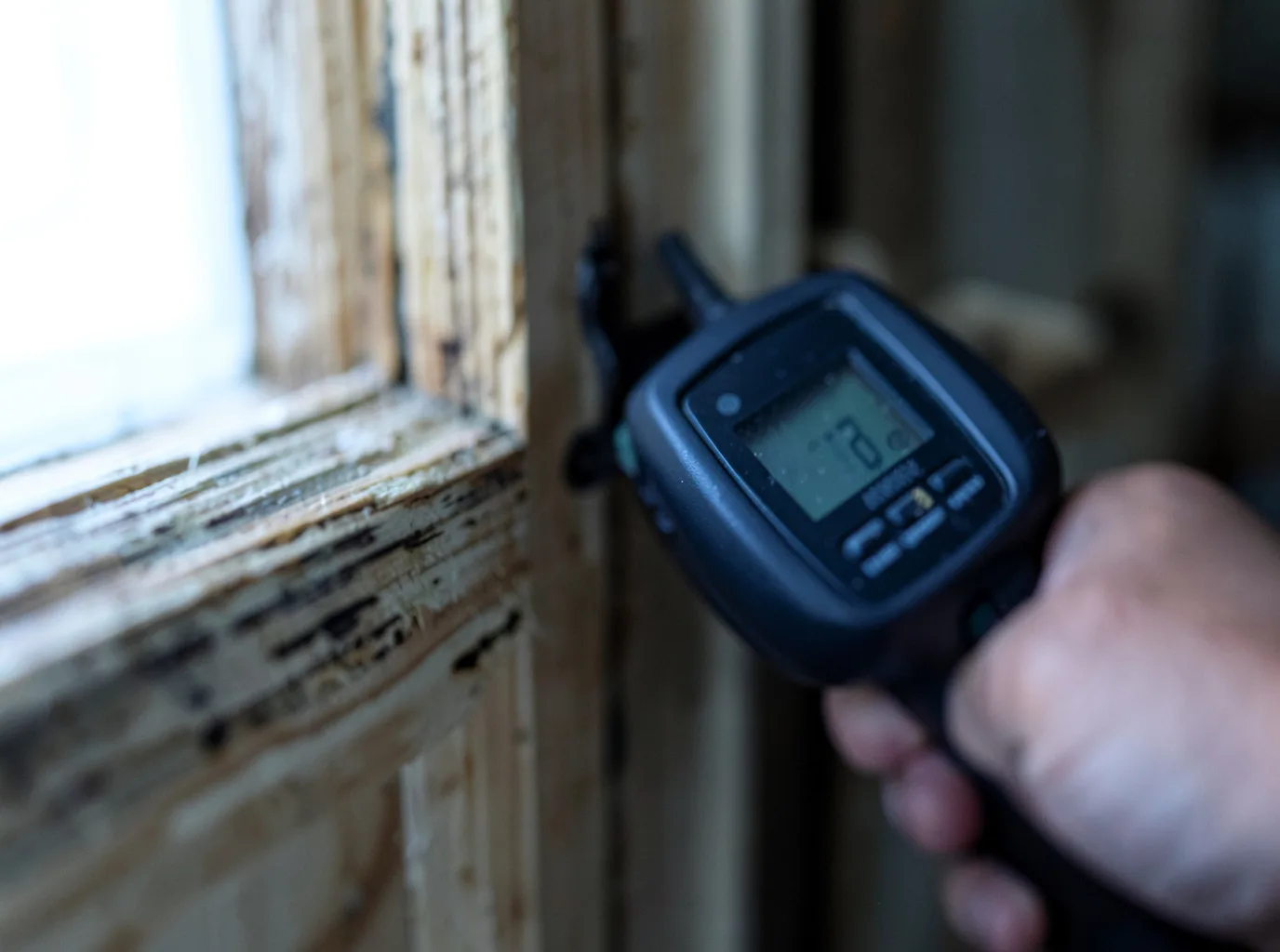 Water Damage Restoration South Branch, MI FAQs